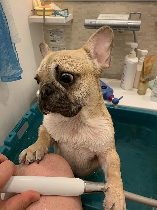 ちくわのお風呂事情①