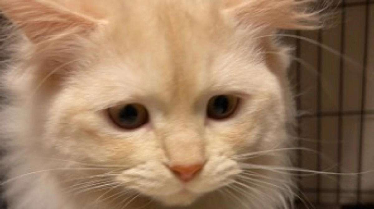 今日のトキ☀️