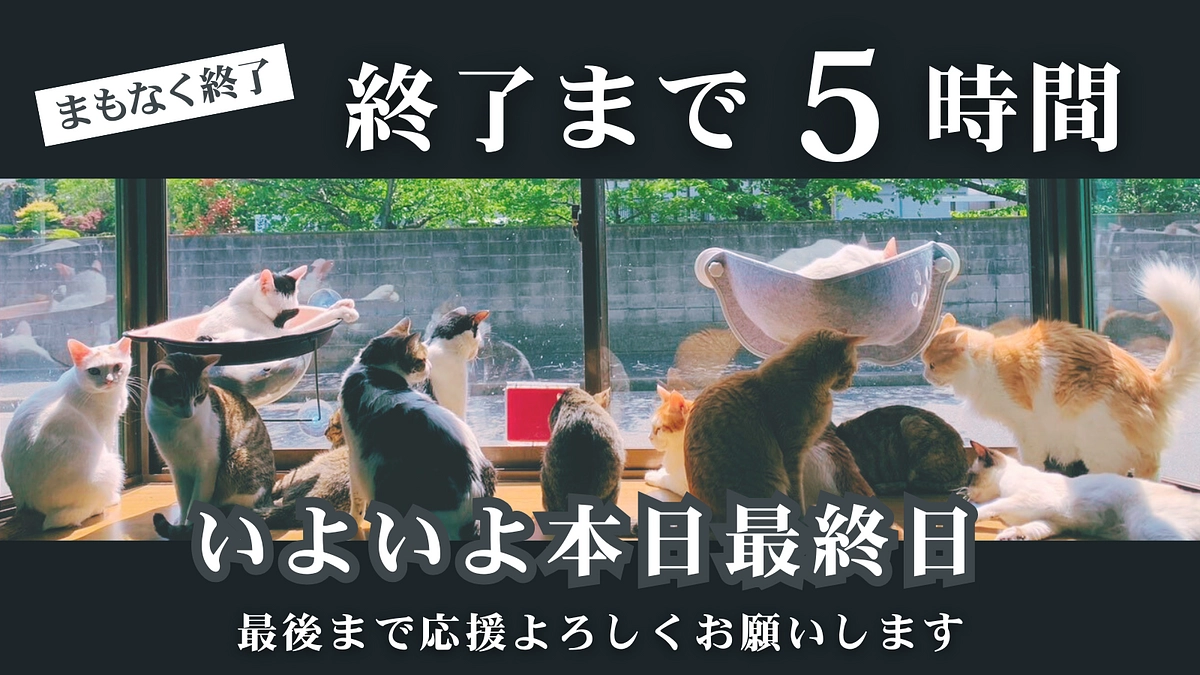 【本日最終日｜残り5時間｜ネクストゴールまで55万円】未来のために、あと少しだけ力を貸してください
