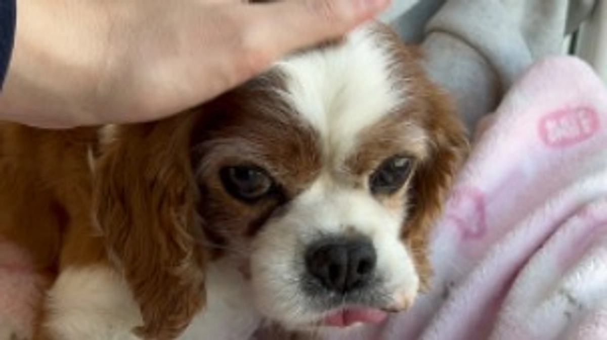 術後7日目です。