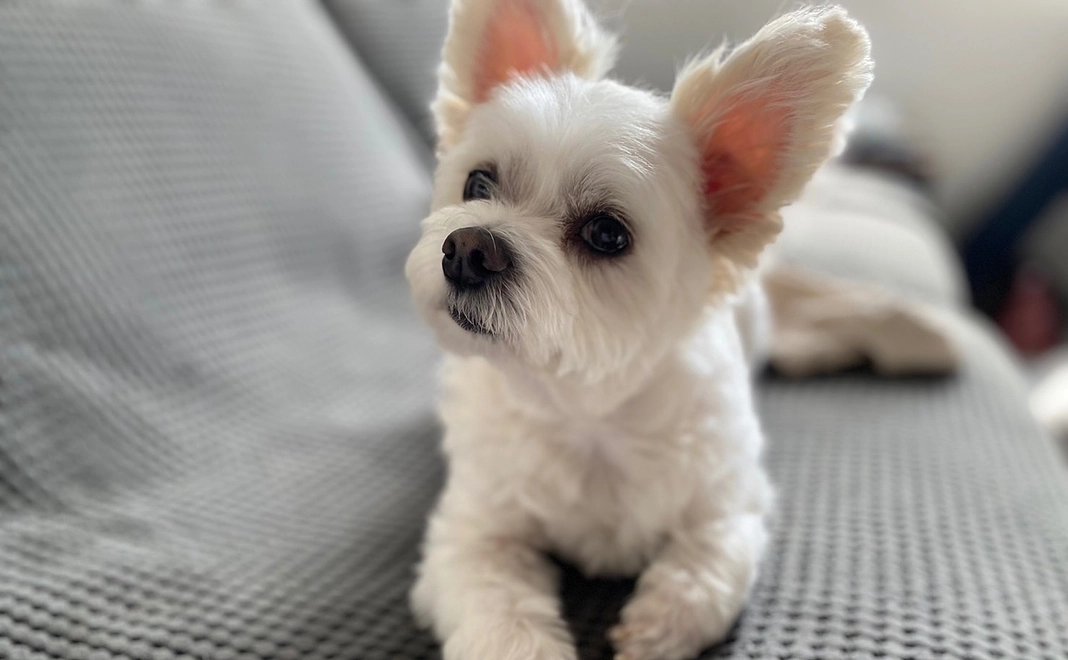 そるとの支援　900円