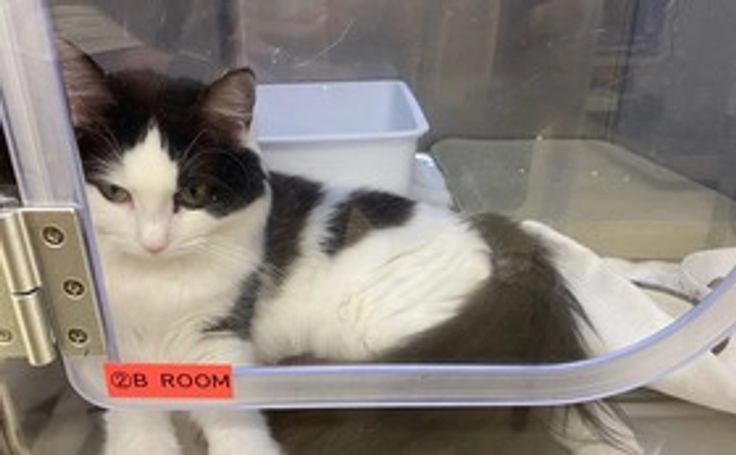 がんばれ、ひーちゃん