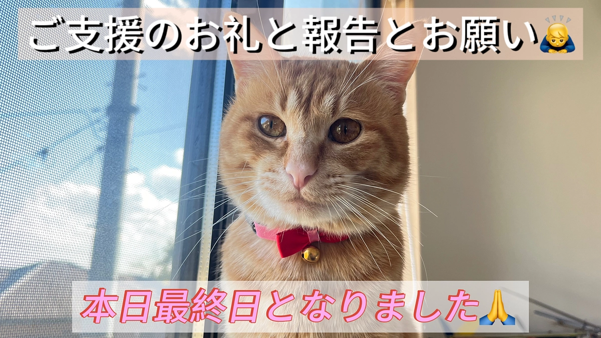 ご支援のお礼と報告とお願い（3/28最終日）