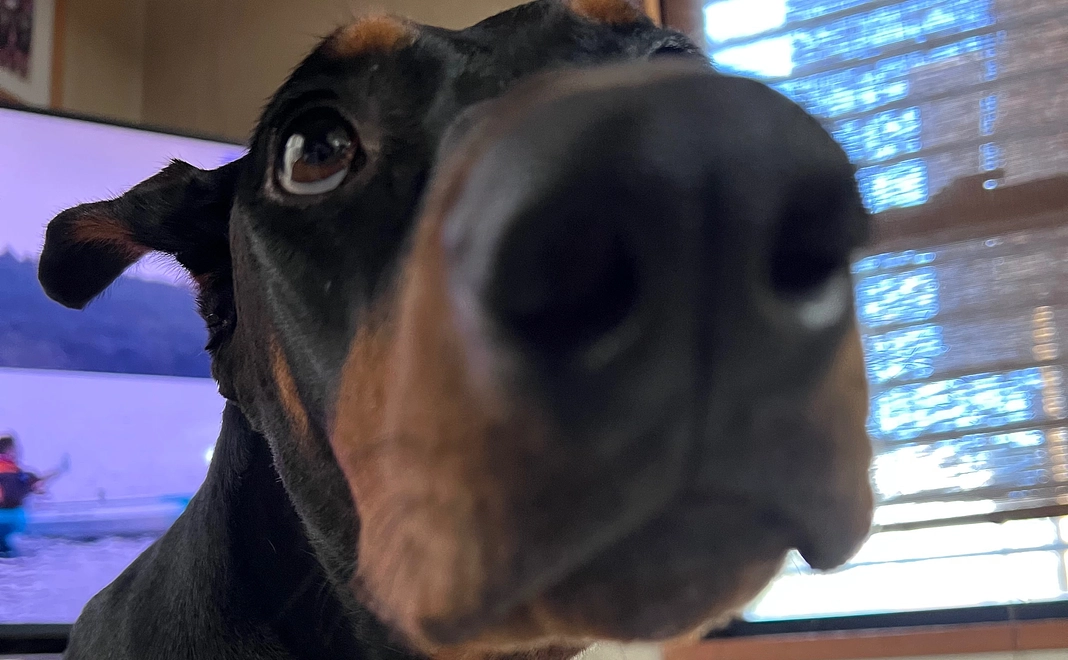 ご支援ありがとうございます!!