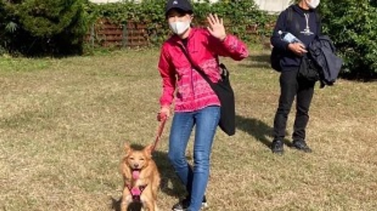 卒業犬 ビビ・コモ里親様から応援メッセージいただいております！