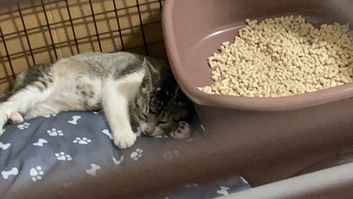 【重要】病院へ行ってきました！