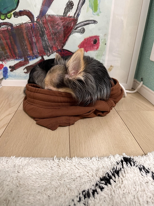 【公開3日目】チラシを配りに行きました💨