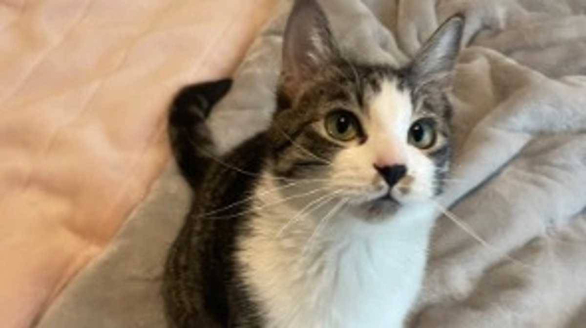 今日は、病院に行きました。