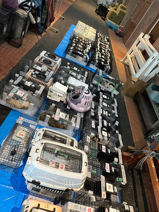 １０月末の那須一斉TNRの模様が紗栄子さんのYoutubeにアップされました。