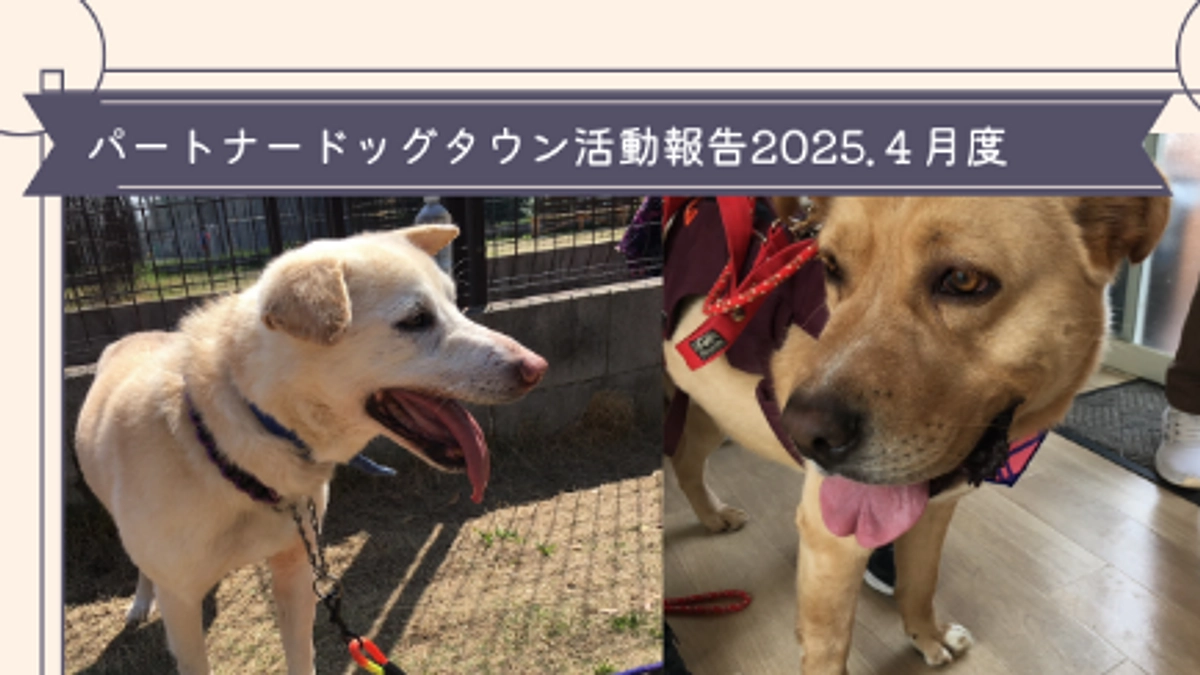 2025年４月度活動報告