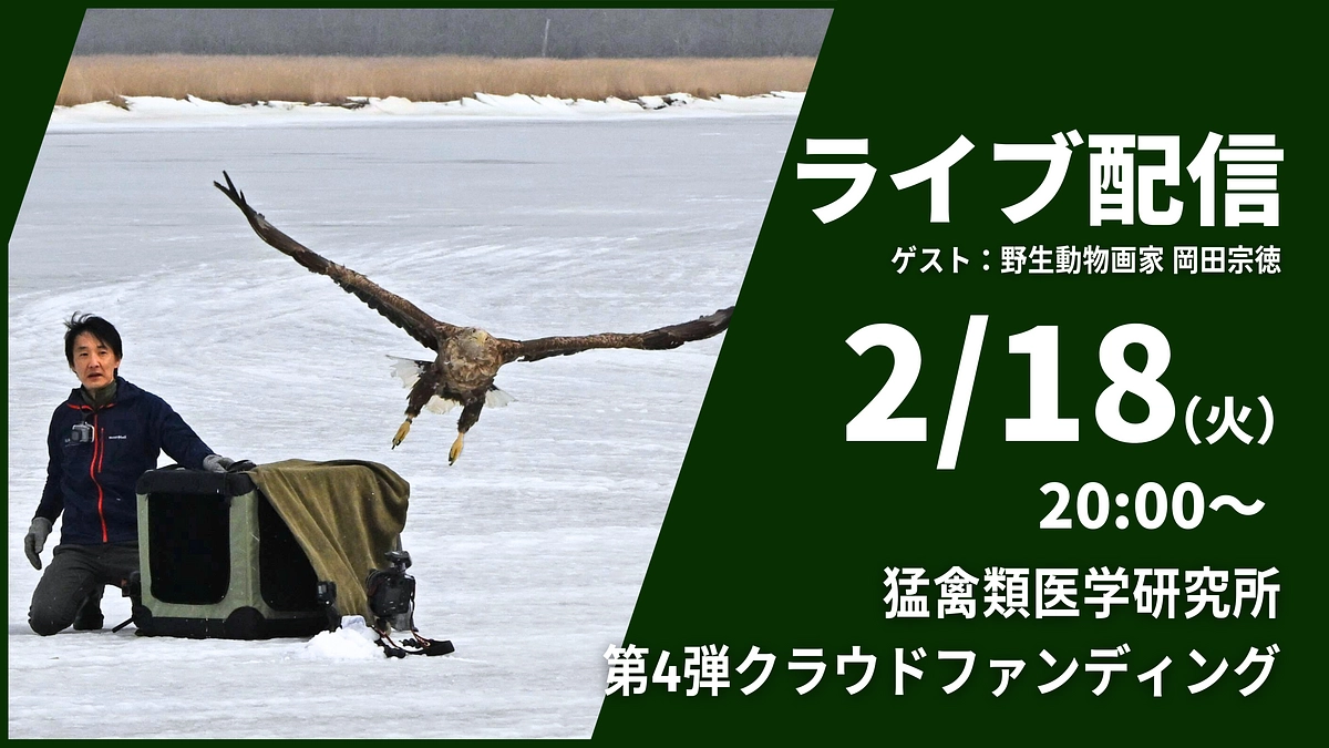 【ゲストをお招きしてのライブ配信のお知らせ】お見逃しなく！2/18(火)20:00~