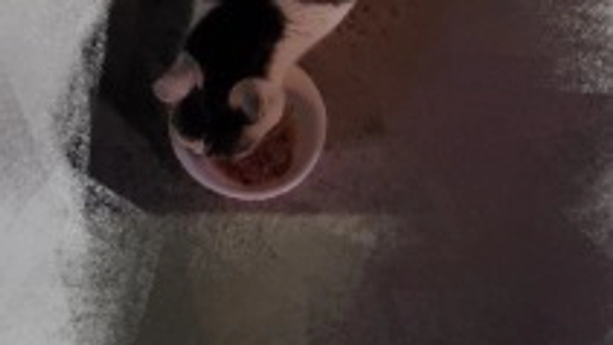 2/12 心配していた子、来てくれました🙏