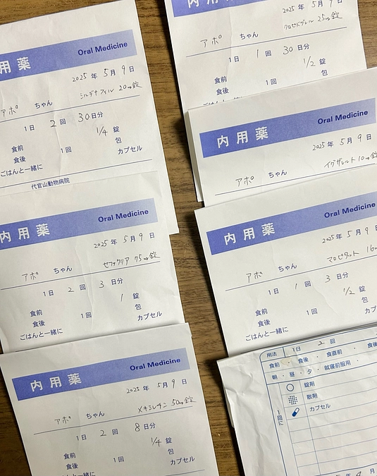 退院後も投薬は続きます