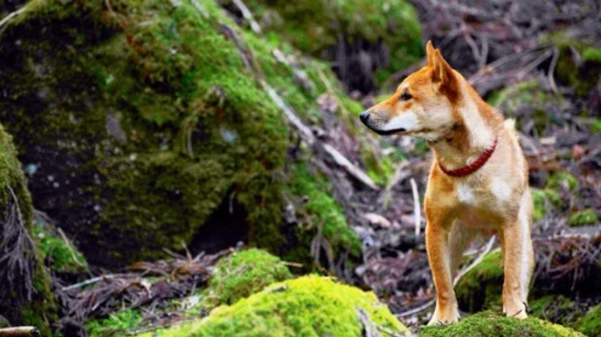 残り１日となりました！！
