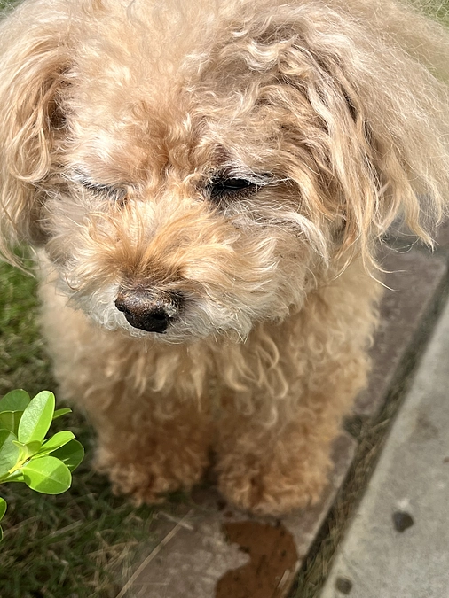 良き先生に感謝の日々です