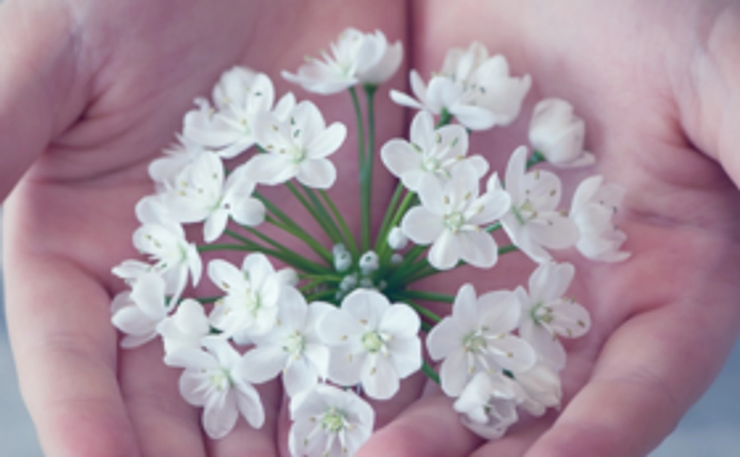 【優しい気持ちコース】感謝のメール