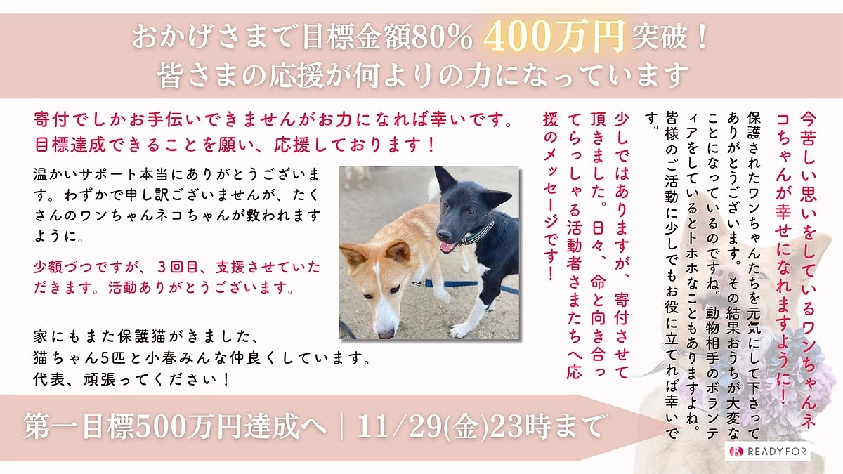 現在挑戦中のプロジェクト【400万突破】｜皆様の応援が何よりの力です！