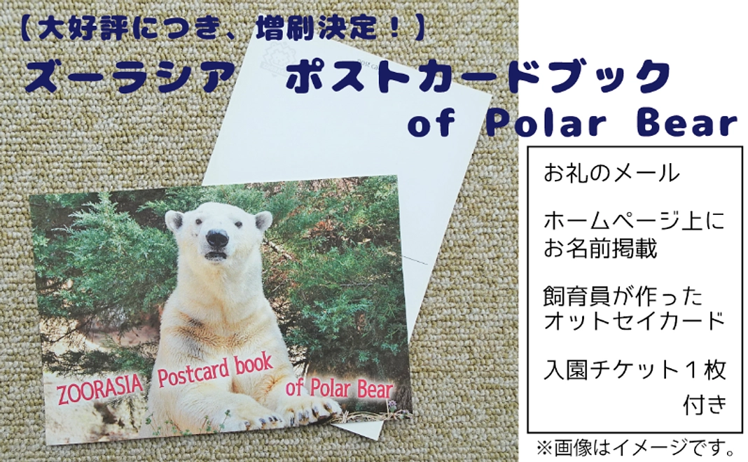 ＜6/29 NEW＞グッズ｜グッズ｜【CF限定】ズーラシアポストカードブック of Polar Bear（増刷）