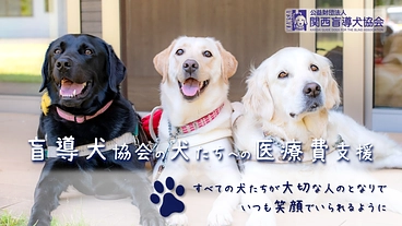 関西盲導犬協会｜これからもずっと、犬たちの健康と笑顔を守るために のトップ画像
