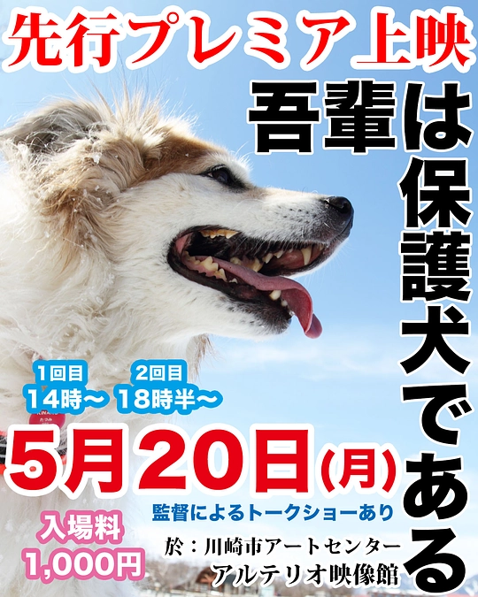 映画「吾輩は保護犬である」の先行プレミア上映が正式に決定しました！！