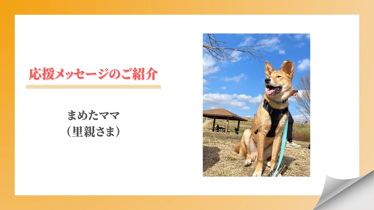 【メッセージリレー#4】まめたママ（里親さま）