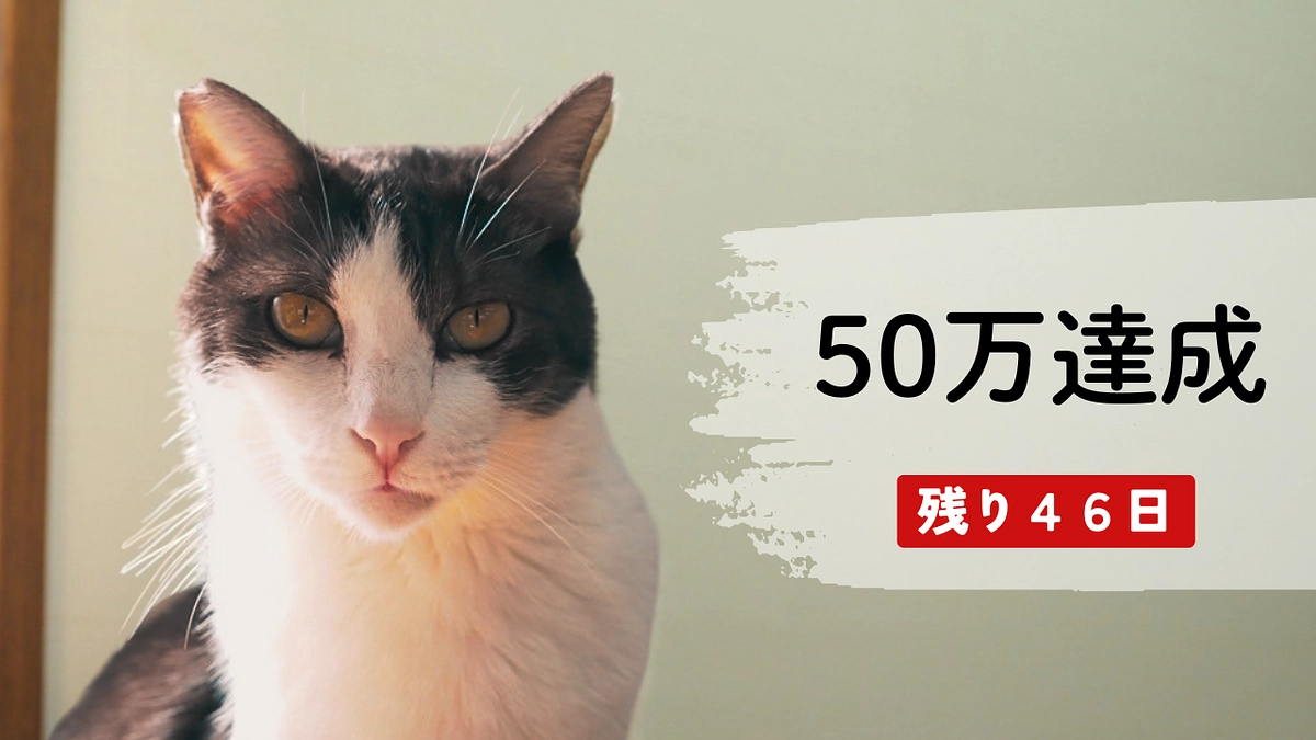 🚀【4日で50万円達成！第2目標も視野に】🐾