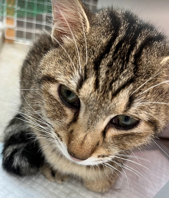 【活動報告】レオンくんの病院へのご挨拶