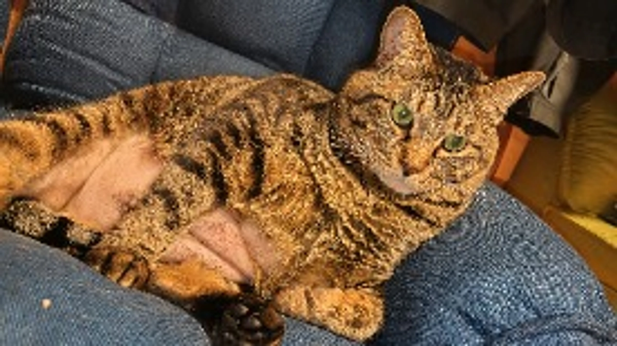 おはようございます