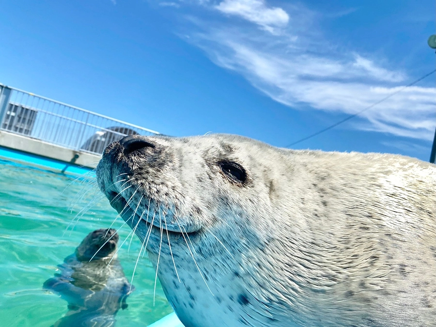 写真集の寄贈についてのご報告