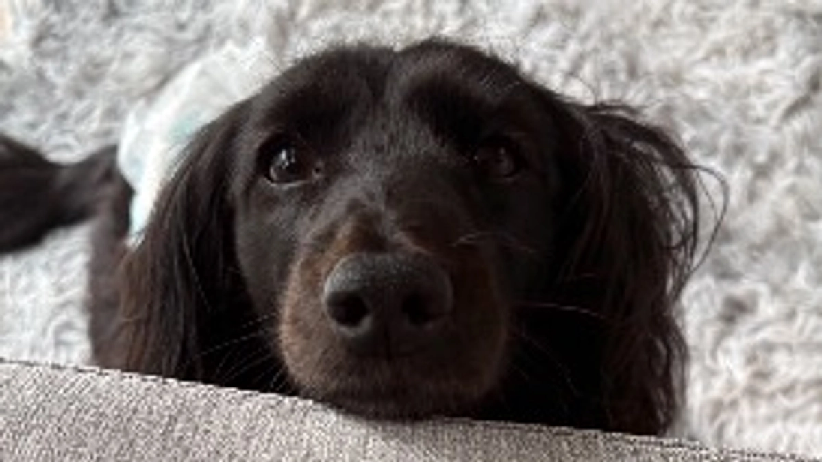 鍼治療をしていただきました！