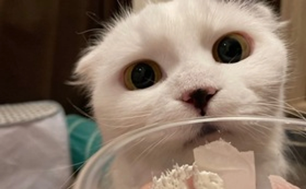 現状のお知らせを兼ねたお礼メール