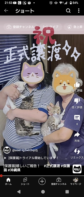 嬉しいお知らせ