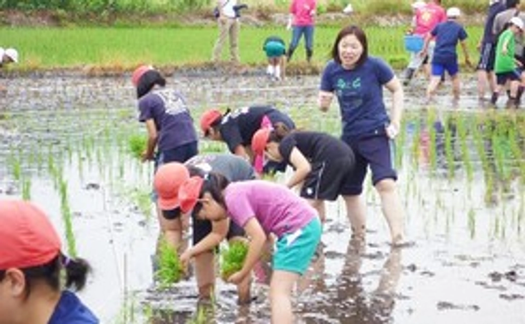 サンクスメール