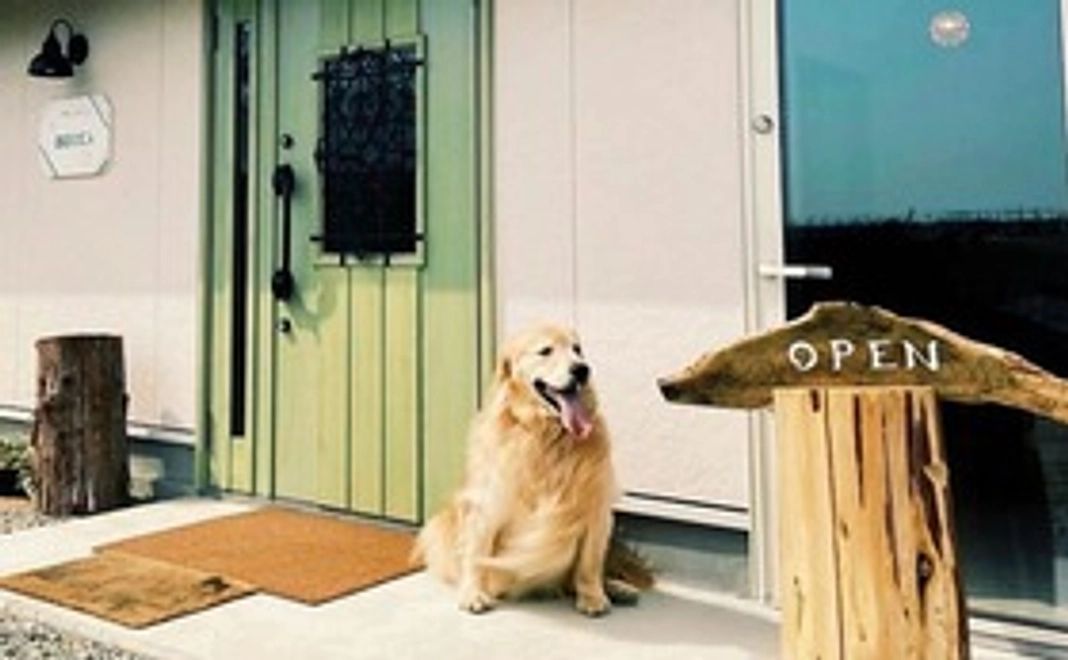 1日ドッグラン無料券+併設するカフェのテイクアウトブレンドコーヒー無料券