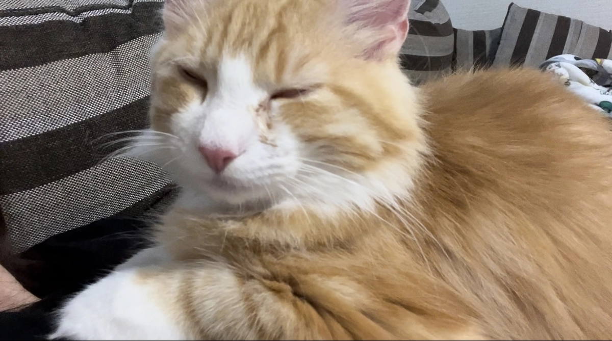 投薬53日目の様子