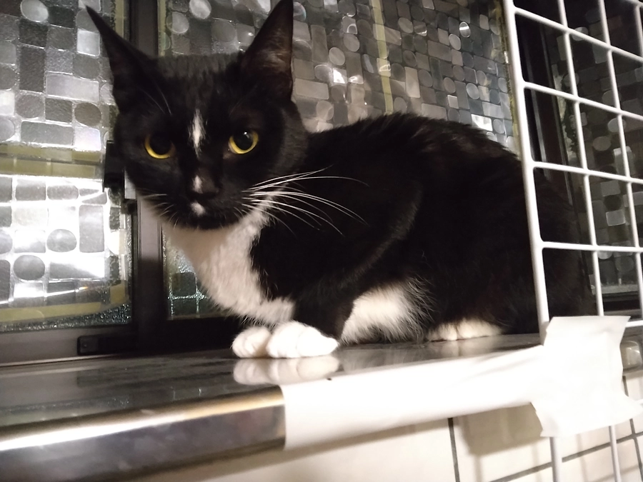 4/4はなちゃんの様子(発作あり)