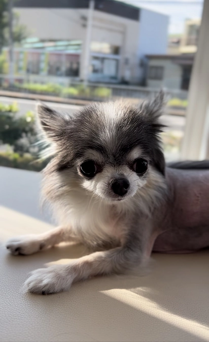 3ヶ月検診へ行ってきました