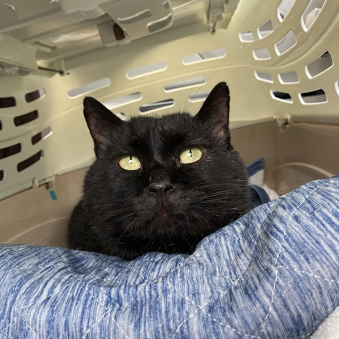 ネロちゃん再診日でした