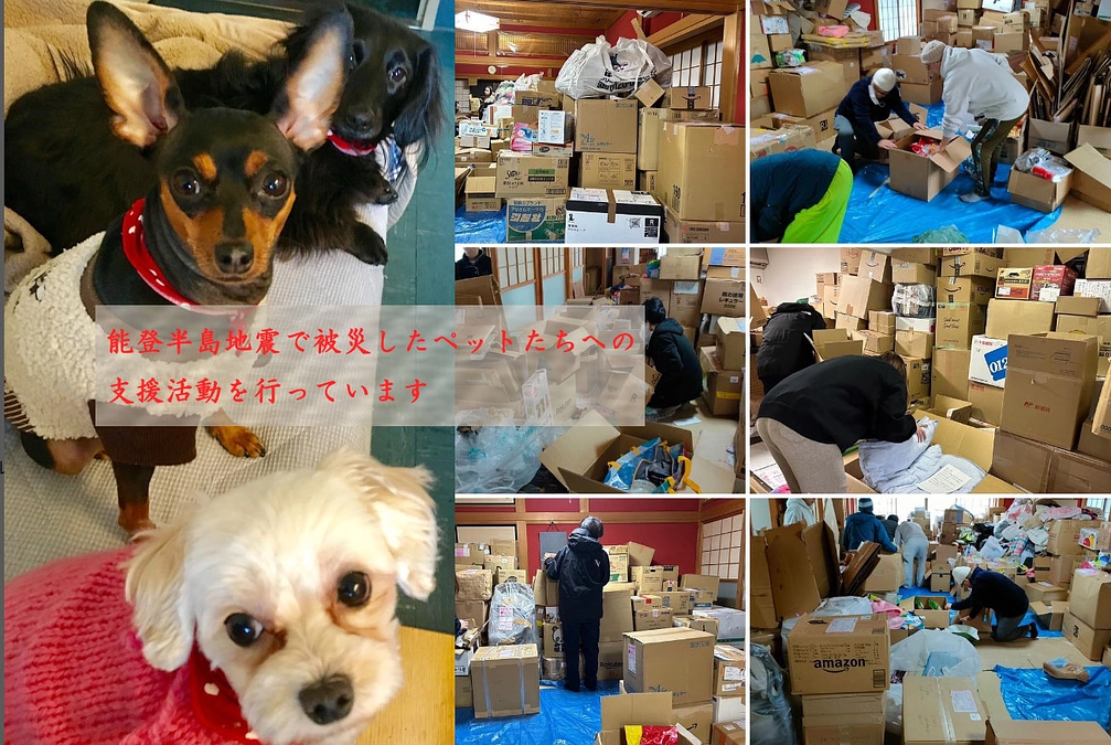 能登半島地震で被災したペットたちの支援活動へのご協力を！