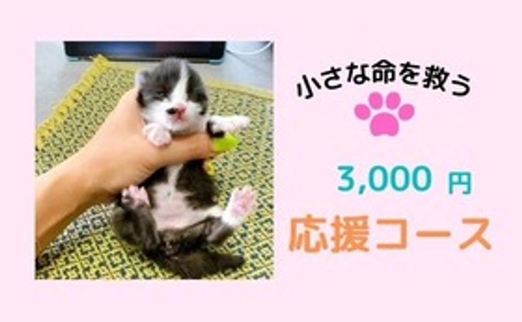 3,000円コース