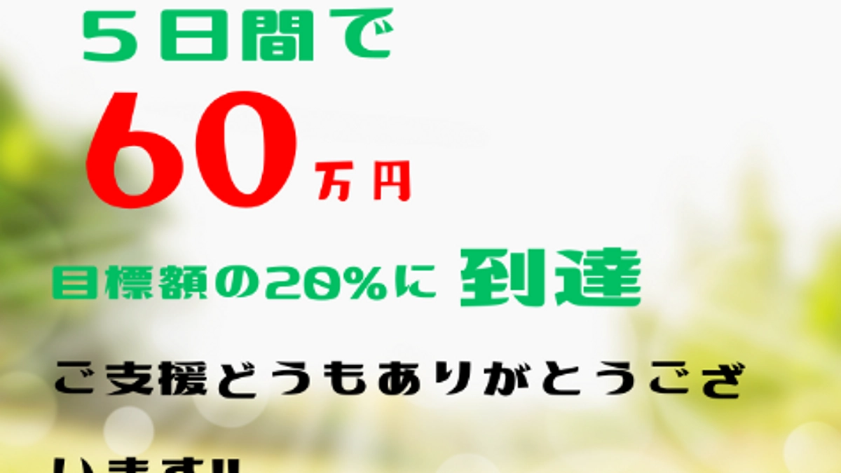 第6弾プロジェクト【60万円突破！】あわねこ保育園の毎日