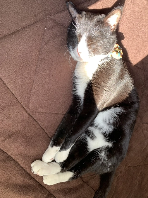 懐かしとろろ（2）