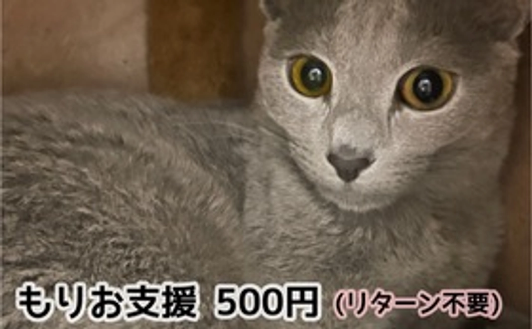 もりお応援コース 500円 (リターン不要)