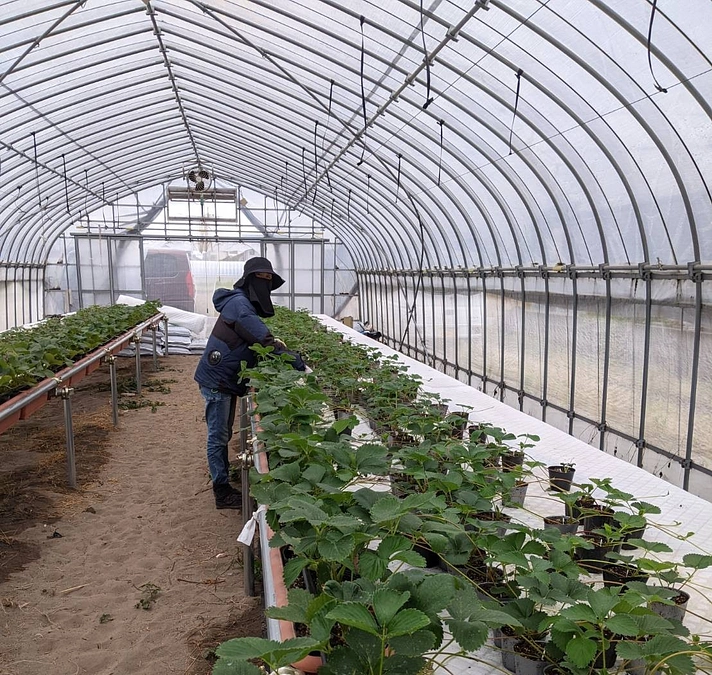 【生産者さま紹介②】