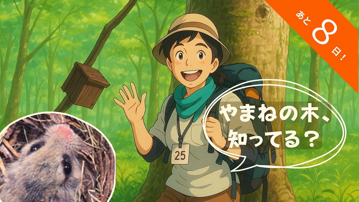 🐾いきものフィールド日記 #9『サワフタギはヤマネの建築資材』