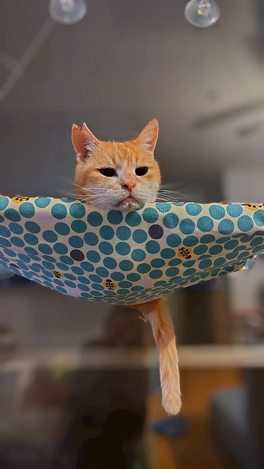 突っ走った1ヶ月と現実 そしてネクストゴールの準備