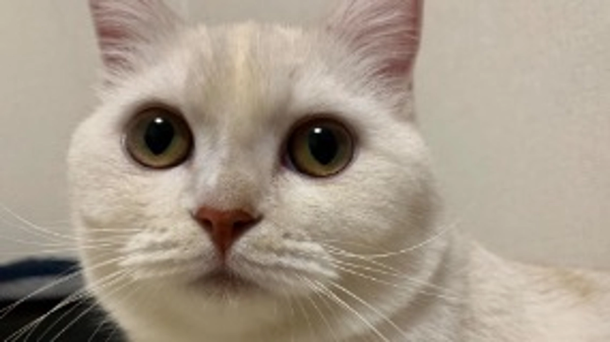 ついにクラファン最終日‼️