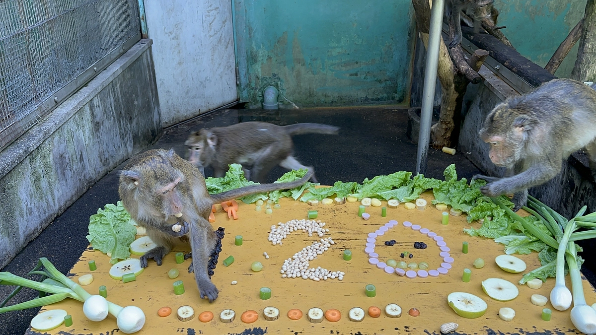 【クラファン活動報告58 】120%達成！