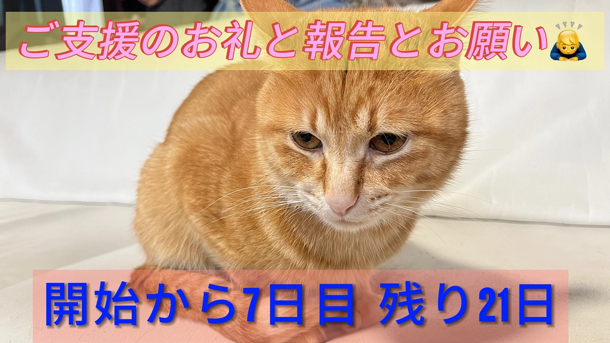 ご支援のお礼と報告とお願い🙇‍♂️
