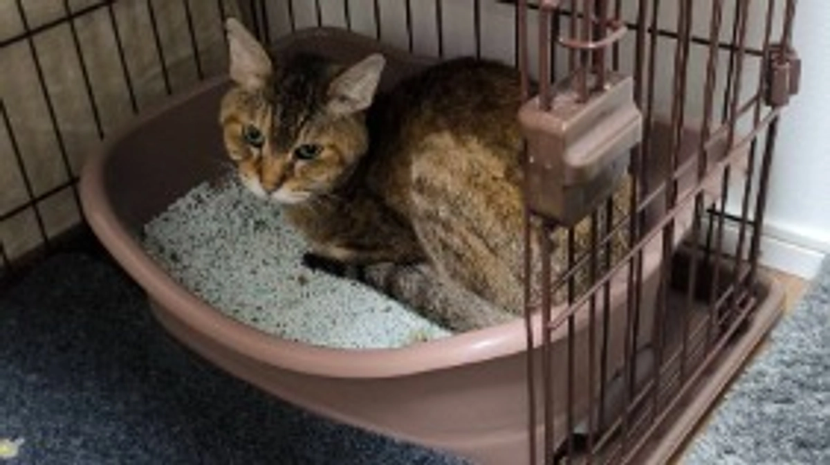 抗がん剤治療スタート！